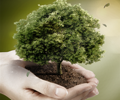 차량손해사정사 이미지